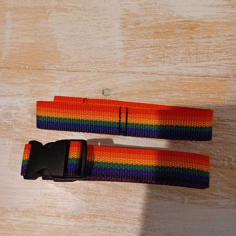 Puede incluir: Una correa de nailon con rayas de arco&iacute;ris que incluye una hebilla de pl&aacute;stico negro de liberaci&oacute;n lateral. La correa muestra bandas horizontales en rojo, naranja, amarillo, verde, azul y violeta. Una secci&oacute;n est&aacute; doblada y otra tiene la hebilla.
