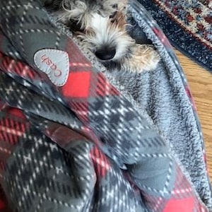 May include: A small dog nestled in a gray, red, and white plaid blanket. The blanket has a heart-shaped patch with the name "Cash" on it. The dog has black and gray fur with a white and tan face.
