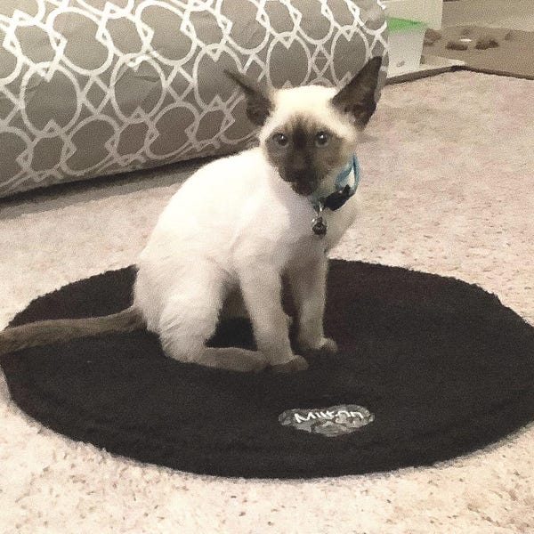 Personalized Sherpa Pet Warming Pad: Batik Applique Cat/Dog Blanket