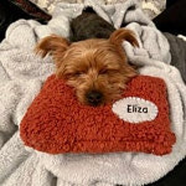 PET / Child PILLOW PERSONALIZED , Pet Pillow, Childs Pillow, Bed Pillow, Gift Pillow