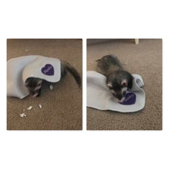 Personalized SMALL ANIMAL FLEECE Personalized Pet Blanket / Etsy India