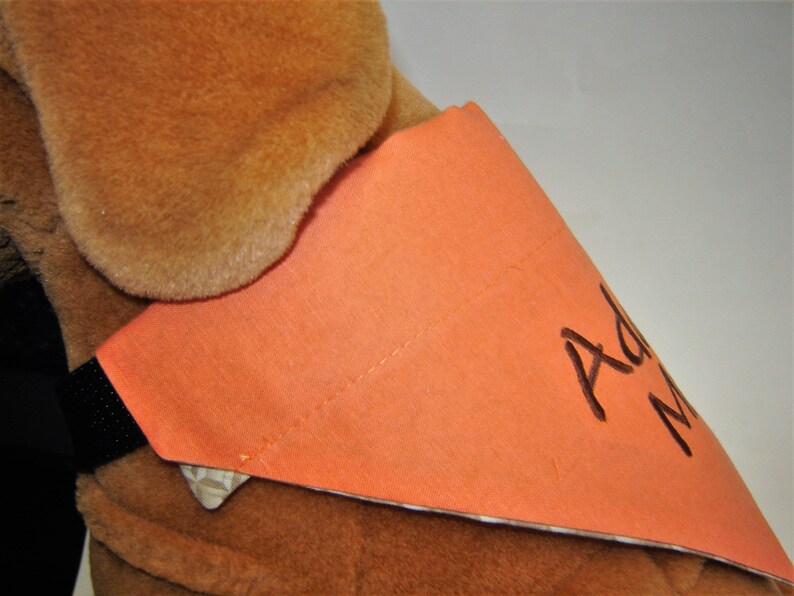 May include: A peach-colored dog bandana with the name "Adam" embroidered in brown thread.
