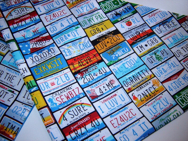 house divided dog bandana