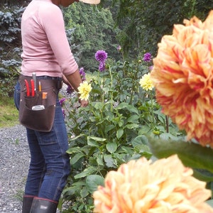 May include: A person wearing a straw hat and a brown leather tool belt with gardening tools is tending to a garden with orange, yellow, and purple flowers.