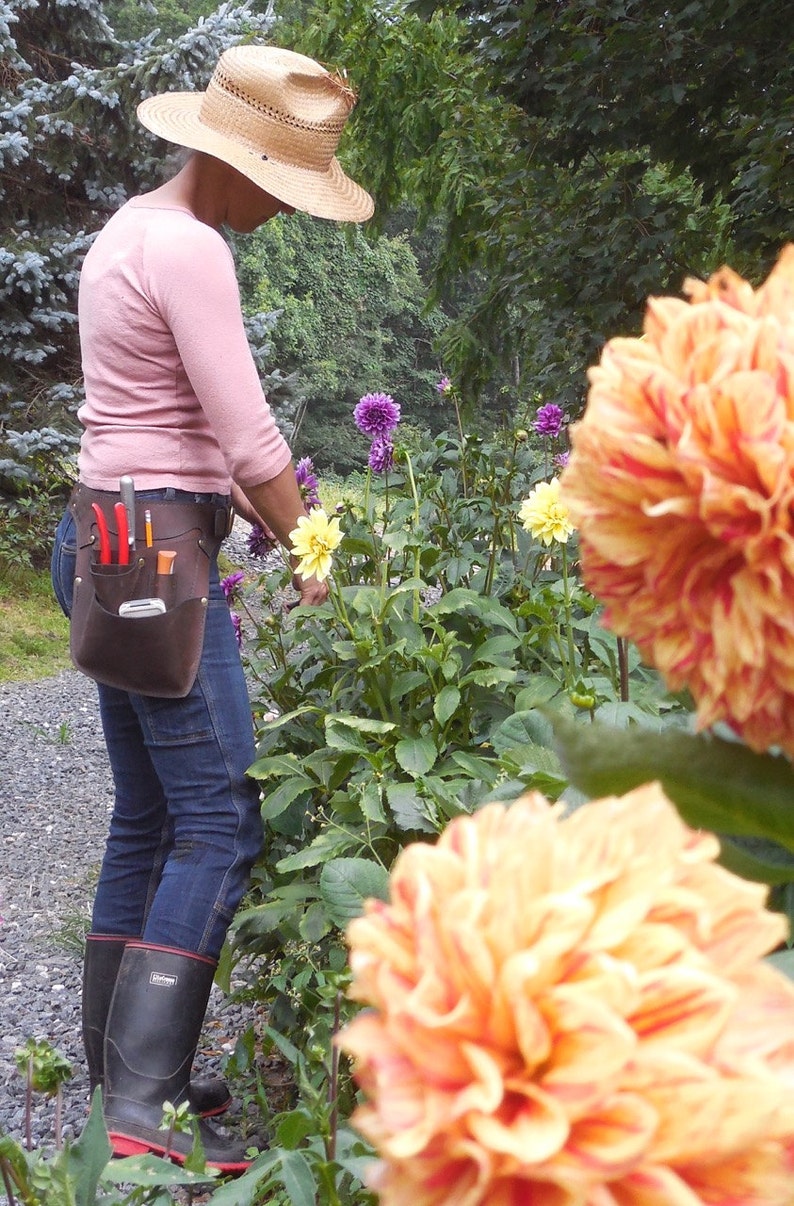 May include: A person wearing a straw hat and a brown leather tool belt with gardening tools is tending to a garden with orange, yellow, and purple flowers.