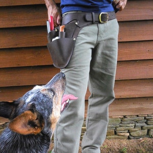May include: A person wearing a blue shirt and khaki pants with a brown leather tool belt and a variety of tools attached to it. A blue heeler dog is looking up at the person.