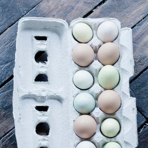 MPM_Fresh Eggs in Carton