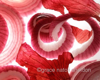 Kitchen Art by  Grace Natoli Sheldon - Food Photography - Farmers Market Fresh Red Onions Sliced- 8x10 Fine Art Photographic Print-Hand Made