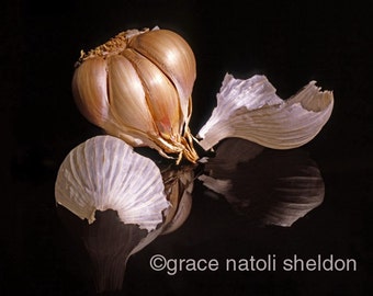 Kitchen Art by Grace Natoli Sheldon - Food Photography  - Farmers Market Fresh Garlic Bulb- Decorative Art -8x10 Fine Art Photographic Print