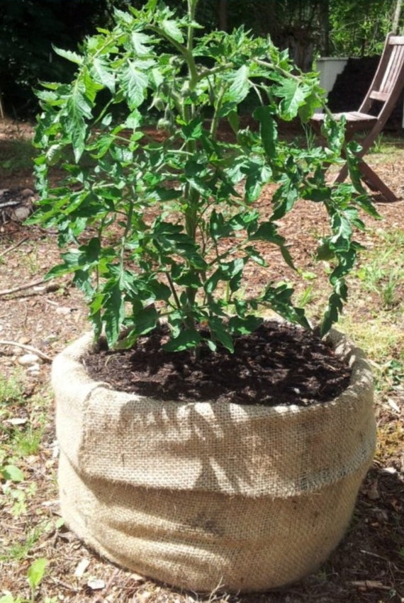 X5 Recycled Burlap Grow Bags 25x20 Etsy