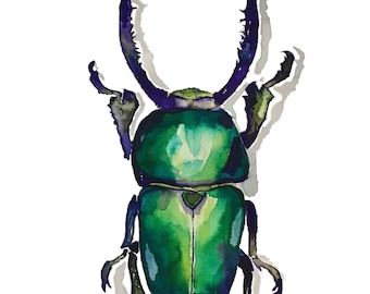 Puede incluir: Pintura acuarela de un escarabajo verde con detalles morados y antenas largas y delgadas. El escarabajo está pintado en un estilo realista y tiene una textura detallada.
