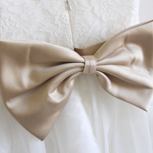 May include: A white tulle dress with a lace bodice and a large, gold satin bow at the waist.