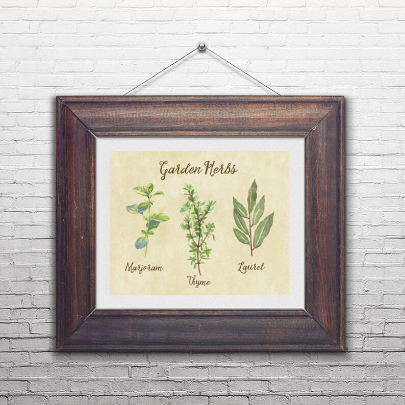 Printable wall art digital print herbs illustration herbs Etsy