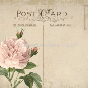 Vintage postcard,  digital postcard, printable blank postcard, pink rose postcard, blank digital postcard, cu ok