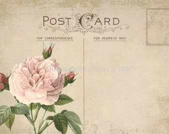 Vintage Pink Rose Postcard Printable, Shabby Chic Digital Download, Vintage Ephemera