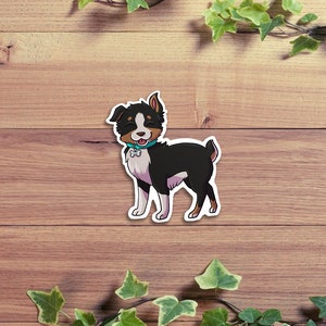 Cute Aussie Sticker | Cute Stickers | Australian Shepherd sticker | Cute Aussie | Black Tri Aussie | Cute Puppy Sticker