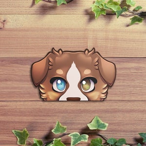 May include: A cartoon illustration of a brown and white dog's face with blue and yellow eyes. The dog is looking directly at the viewer. The image is set against a woodgrain background.