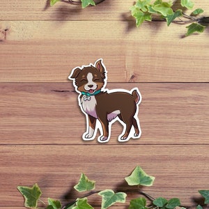 Red Tri Australian Shepherd Sticker | Cute Aussie Decal