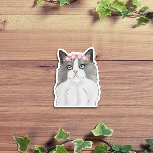 Stickers muraux - Film autocollant - Chat - Chat Ragdoll - Blauw