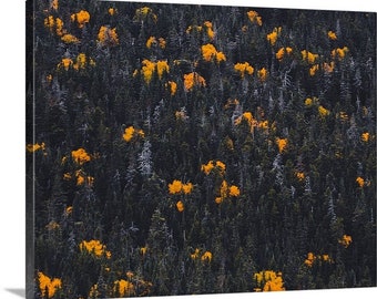 Yellow Mountain Fall, Mount Washington New Hampshire Canvas, Metal, or Acrylic Print