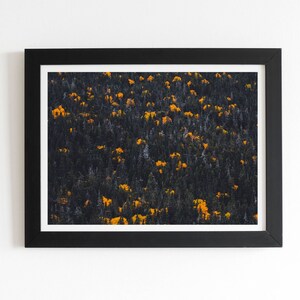 Yellow Mountain Fall, Mount Washington New Hampshire Framed Fine Art Print