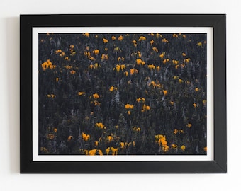 Yellow Mountain Fall, Mount Washington New Hampshire Framed Fine Art Print