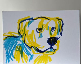 Suprise Colours Pet Portrait