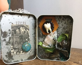 Still Dreaming Hidden Tooth Shrine Tin Box Art Human Tooth Assemblage Display