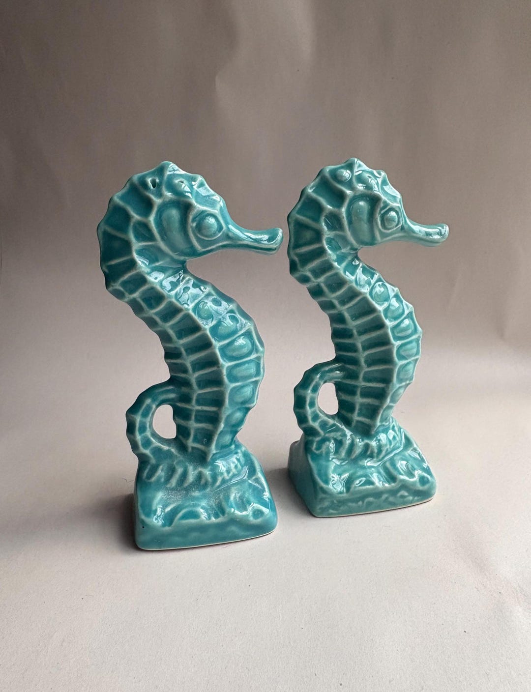 Turquoise Seahorse Ceramic Salt and Pepper Shaker Set - Etsy
