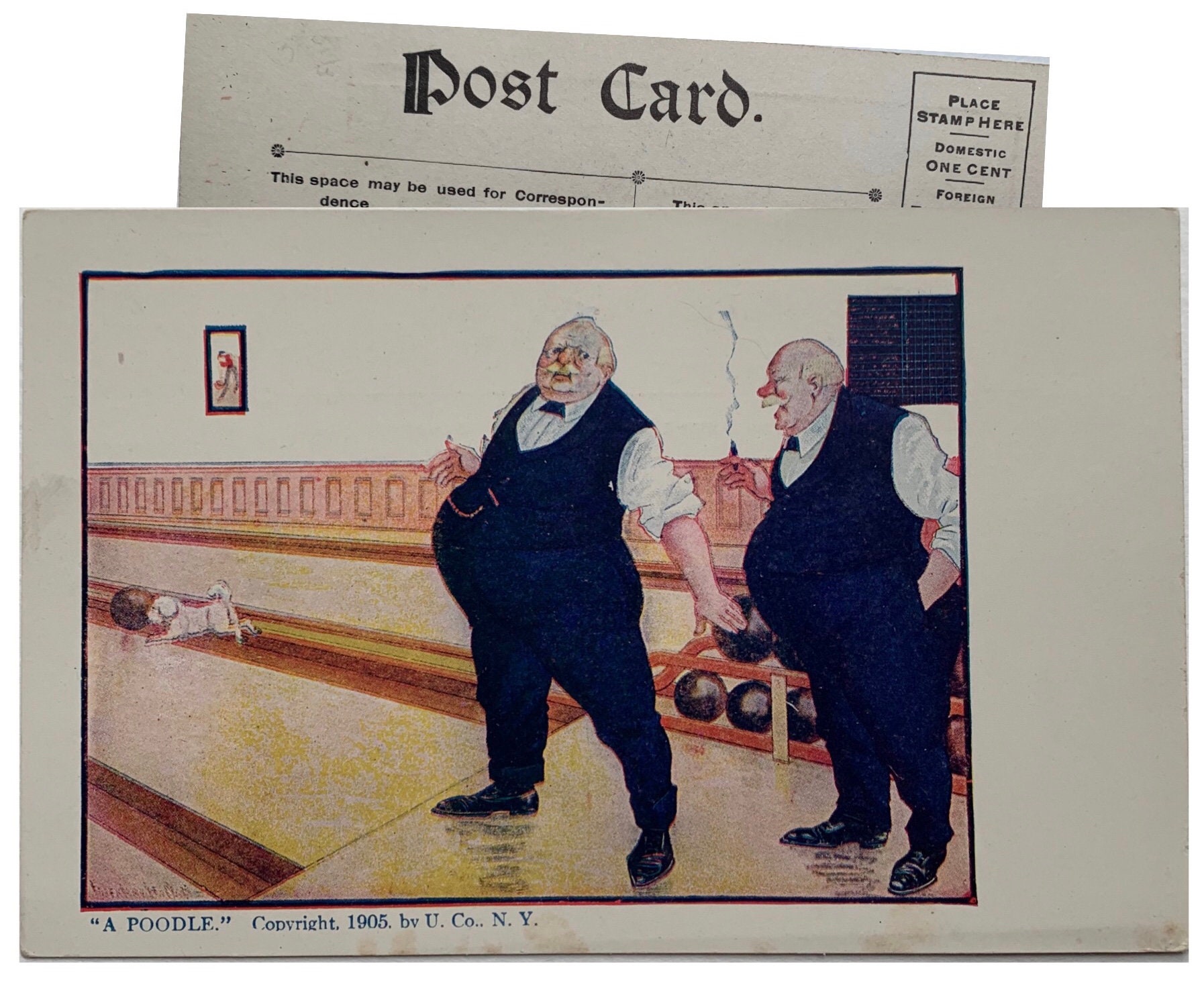 A Poodle Humorous Illustrated Dog Bowling Antique Post Card