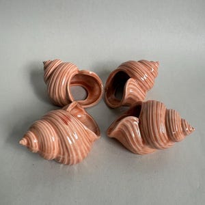 May include: A set of four ceramic napkin rings shaped like conch shells. Each piece features a glossy, light peach-colored glaze with defined, raised ridges that spiral toward a pointed tip, creating a textured, realistic seashell appearance.