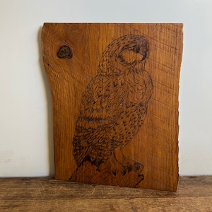 Vintage Pyrography Wood Owl Art, Wood Plank Bird Artwork