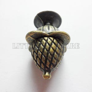 May include: A metal cabinet knob shaped like an acorn with an antique brass finish. The knob features a textured, cross-hatched pattern on the nut and a smooth, rounded cap. The text "LITTLE HARDWARE" is visible in the background behind the knob.