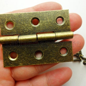 Può includere: Cerniere in ottone antico con quattro fori per viti e una finitura anticata. Le cerniere sono chiuse e hanno una forma a barilotto arrotondata. L'immagine mostra anche un mucchio di viti.