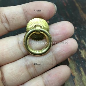 May include: A gold-toned metal ring pull with a semi-circular fan-shaped backplate. The hardware features a 17 mm wide backplate and a 20 mm diameter ring. The text LITTLEHARDWARE is visible across the centre of the object.