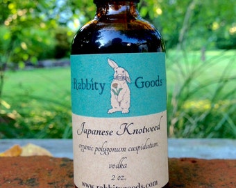Japanese Knotweed Tincture 2 oz., Organic Tincture, Herbal Tincture, Herbal Extract, Organic Extract, Gift, Herbal, Herbalism