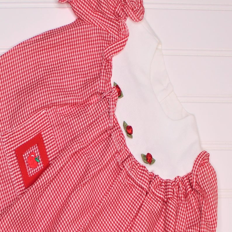 Vintage baby dress Red gingham with flower detailing Alexis sz 6 mo WITH bloomers