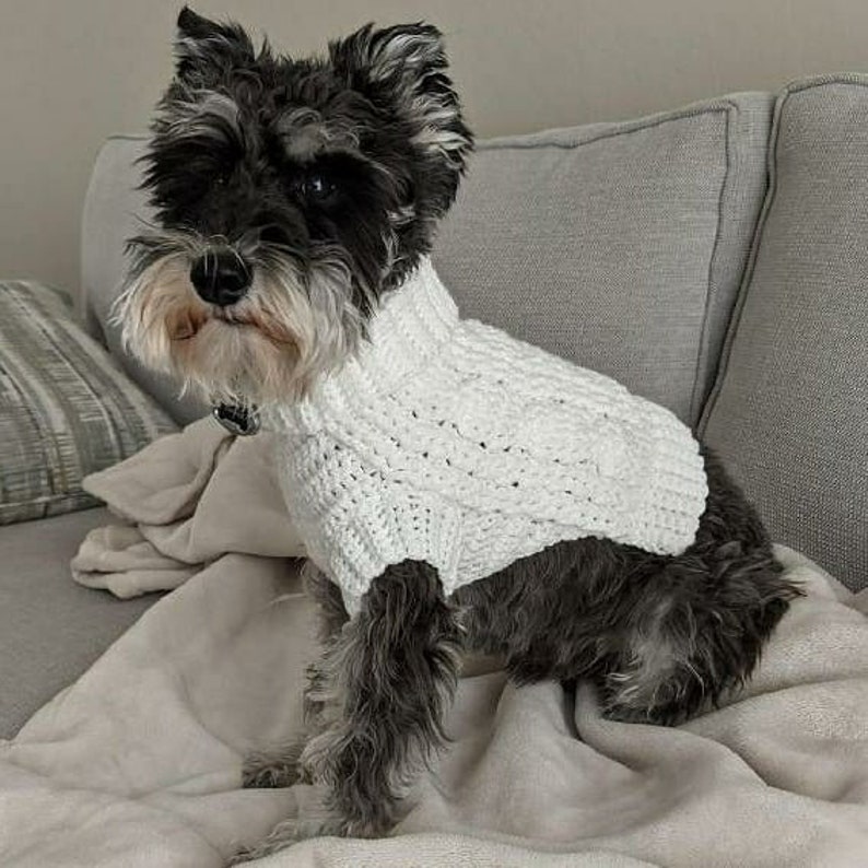 Custom Dog Sweaters Extra Small to Large Sizes Broad to Narrow Etsy