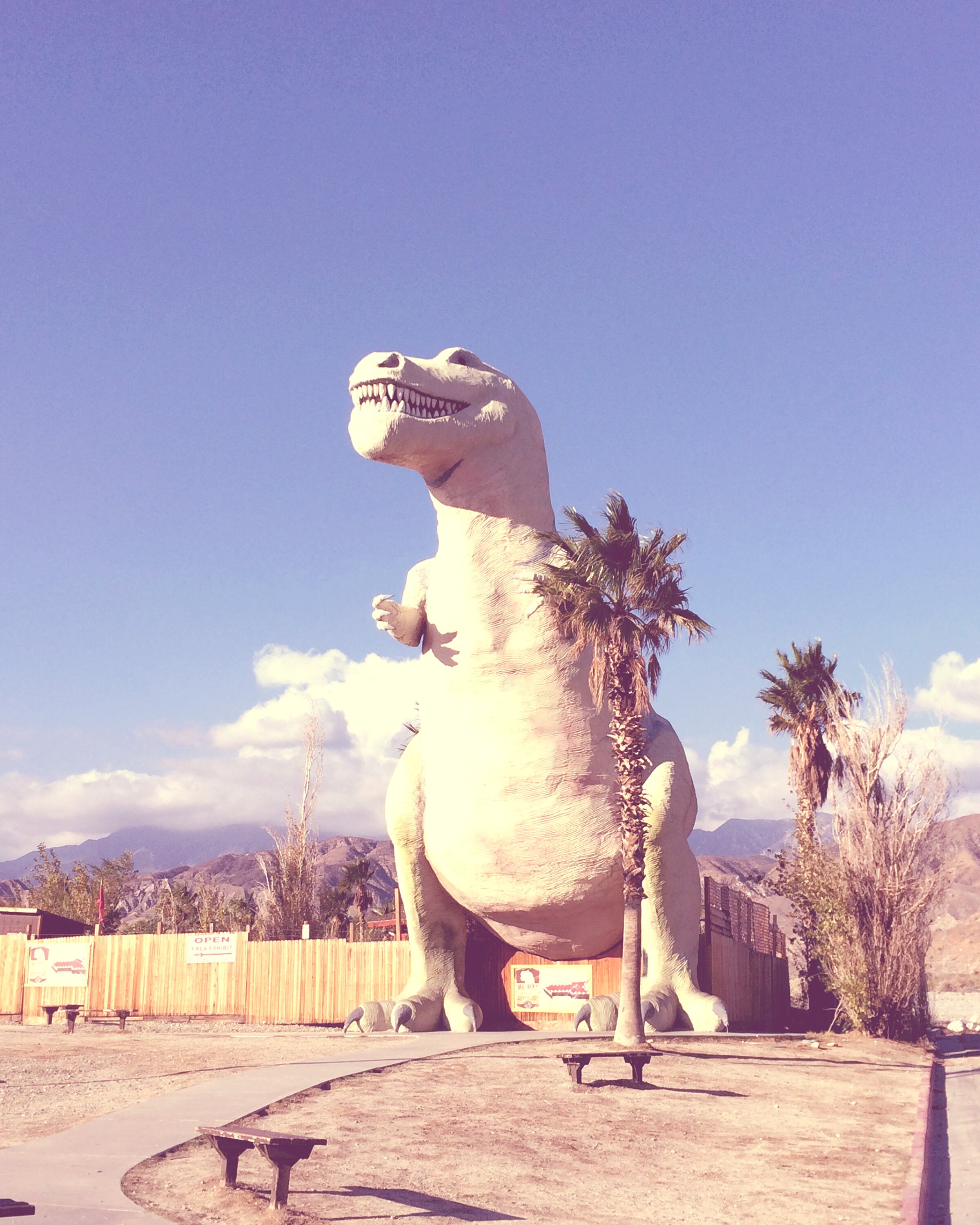 Dinosaur T Rex Palm Springs Scene Desert Cactus Prints Wall Decor Cactus Botanical Wall Art Prints Succulents Art Prints Printable Art