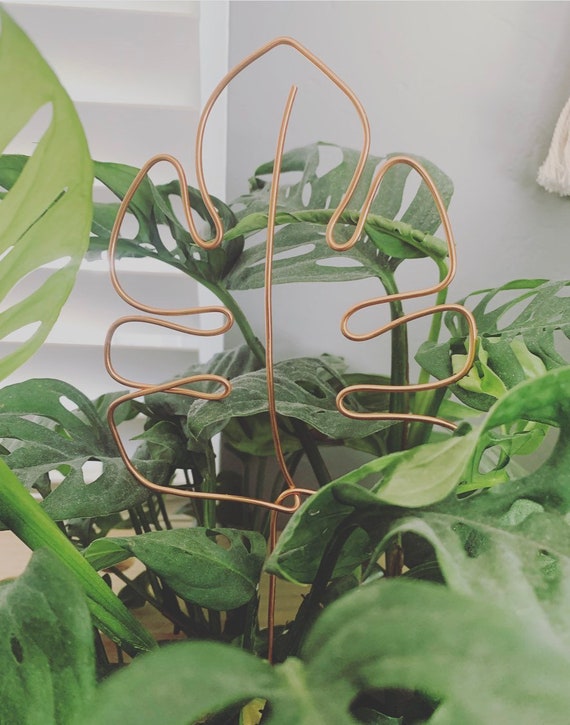 Decorative Plant Trellis Monstera Leaf Etsy