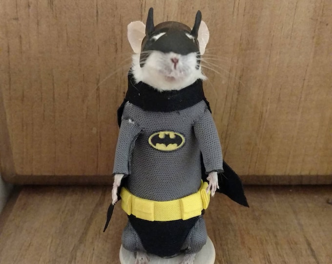 The Bat Taxidermy Mouse - Etsy