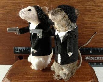 Taxidermy Pulp Rodents