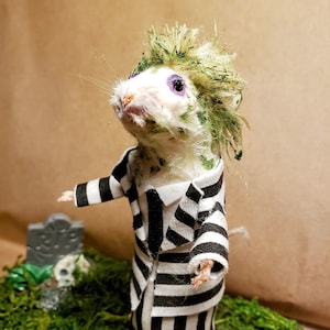 Käfermaus