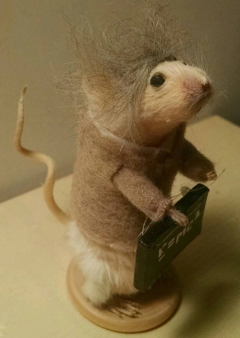 May include: A small, white, furry mouse wearing a brown sweater and holding a small black chalkboard with the equation E=MC2 written on it.