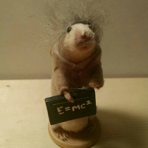 May include: A small, white mouse figurine wearing a brown coat and holding a chalkboard with the equation "E=MC2" written on it.