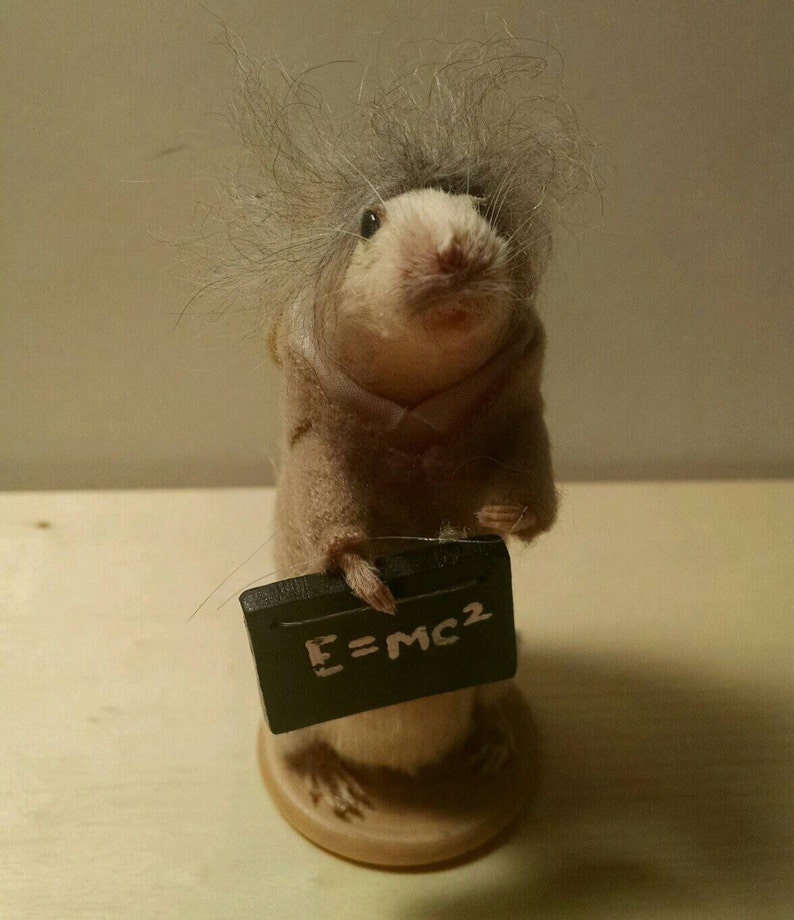 May include: A small, white mouse figurine wearing a brown coat and holding a chalkboard with the equation "E=MC2" written on it.