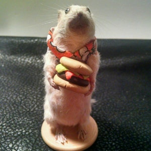 Burger time taxidermy mouse image 5
