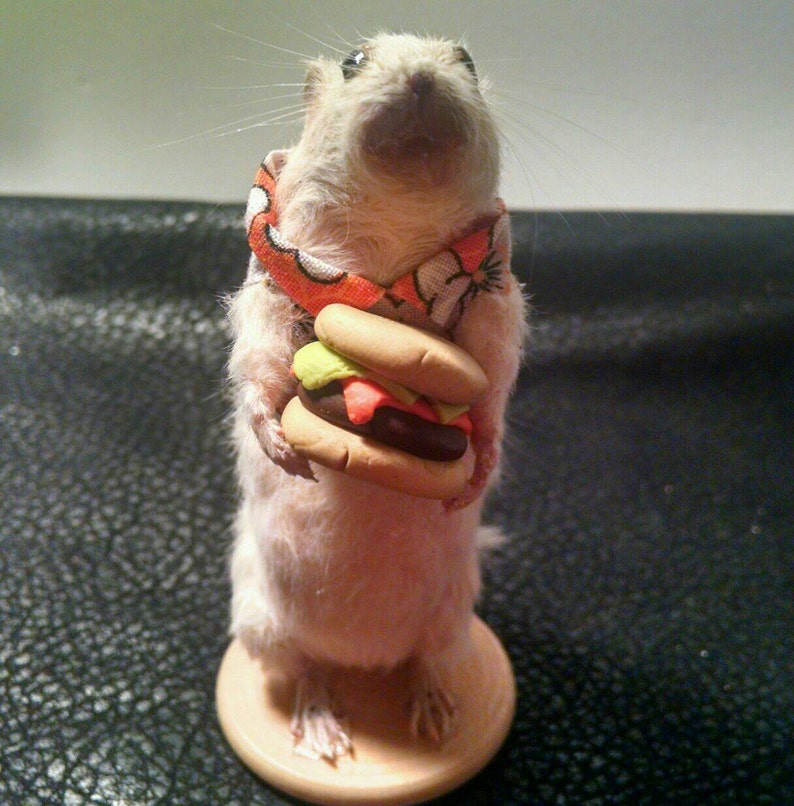 Burger time taxidermy mouse image 5