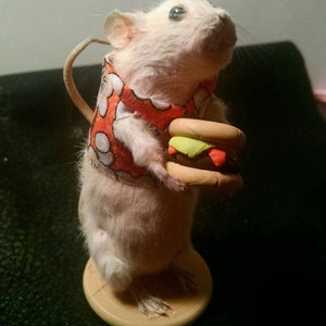 May include: A white rat wearing a red and white patterned vest holds a small, brown, yellow, and red hamburger in its paws.