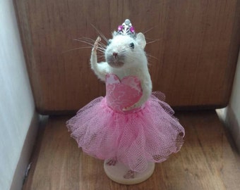 Taxidermy Mouse Ballerina